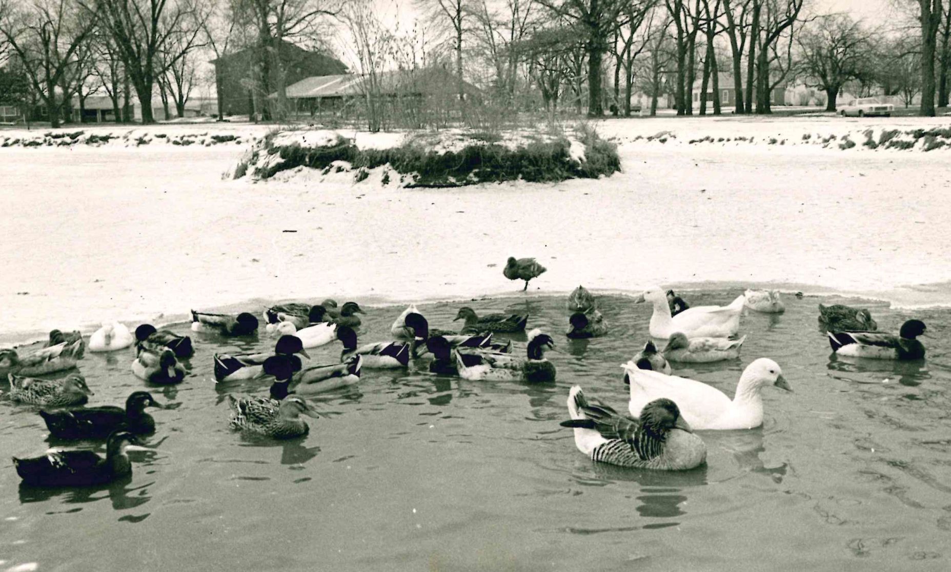 Kitchell Park
